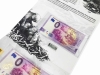 BÓBR_EUROPEJSKI_GOLD_3.jpg